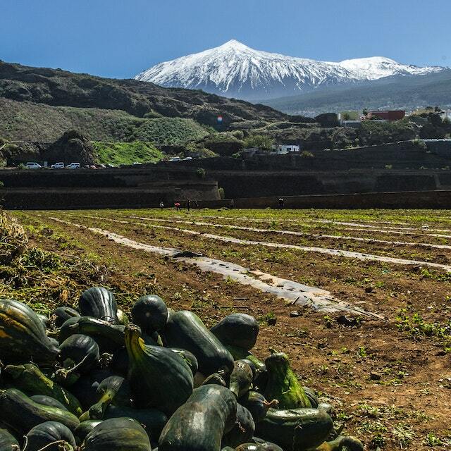 Agriculture et pisciculture