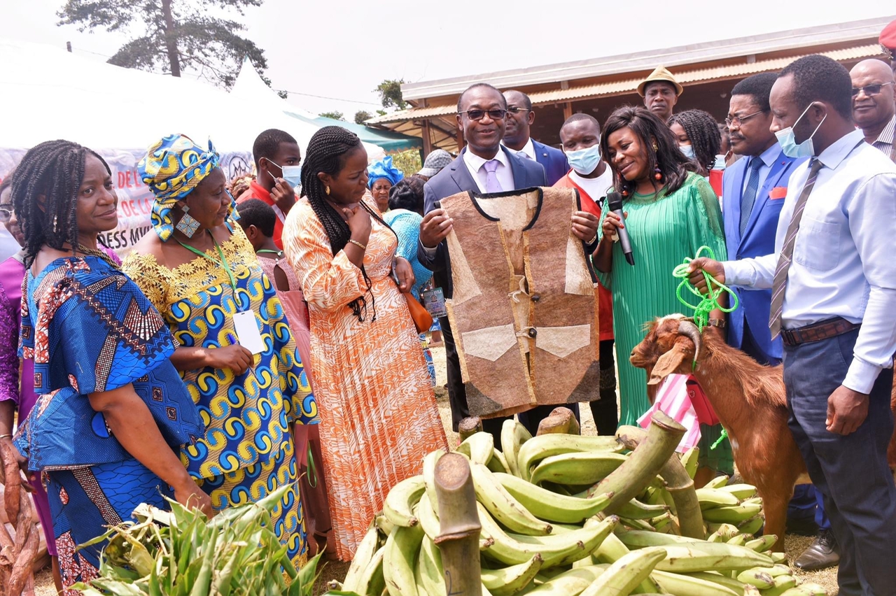 ministre-des-pme-au-cameroun-07